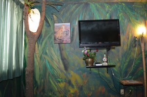 Wall View in Lounge Area